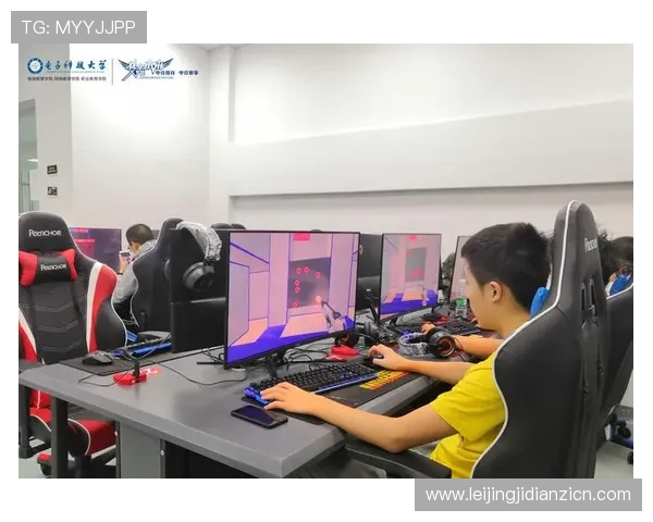 全面解析bng电子游戏平台的安全保障措施与用户体验优化方案